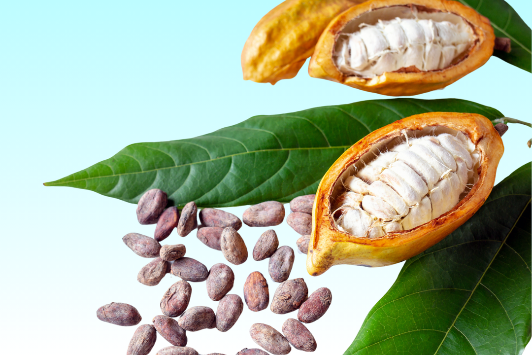 Beneficios de la Manteca de Cacao en la Piel y Cabello