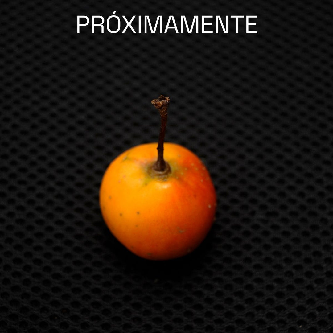DESODORANTE DE TEJOCOTE. MAXALLI