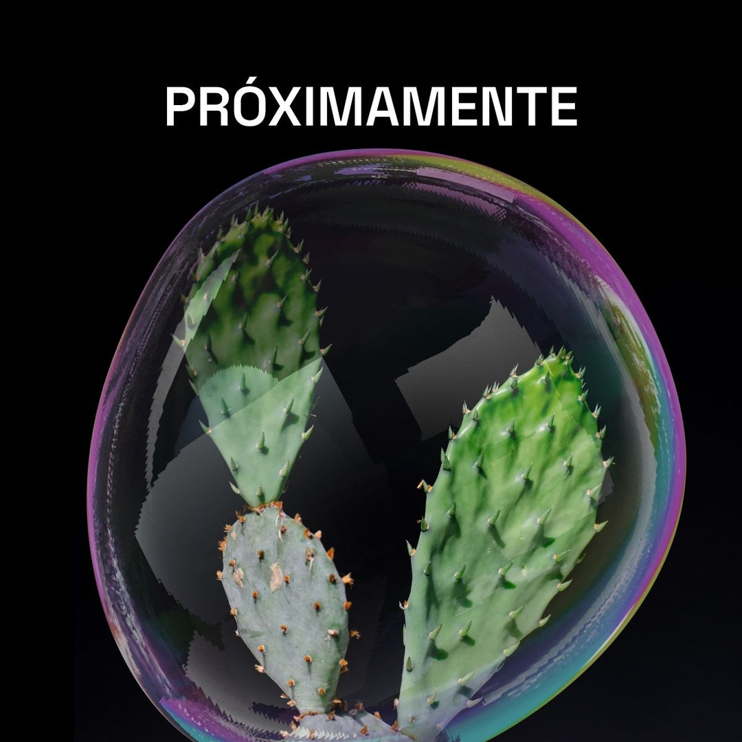 shampoo hidratante de nopal y sabila