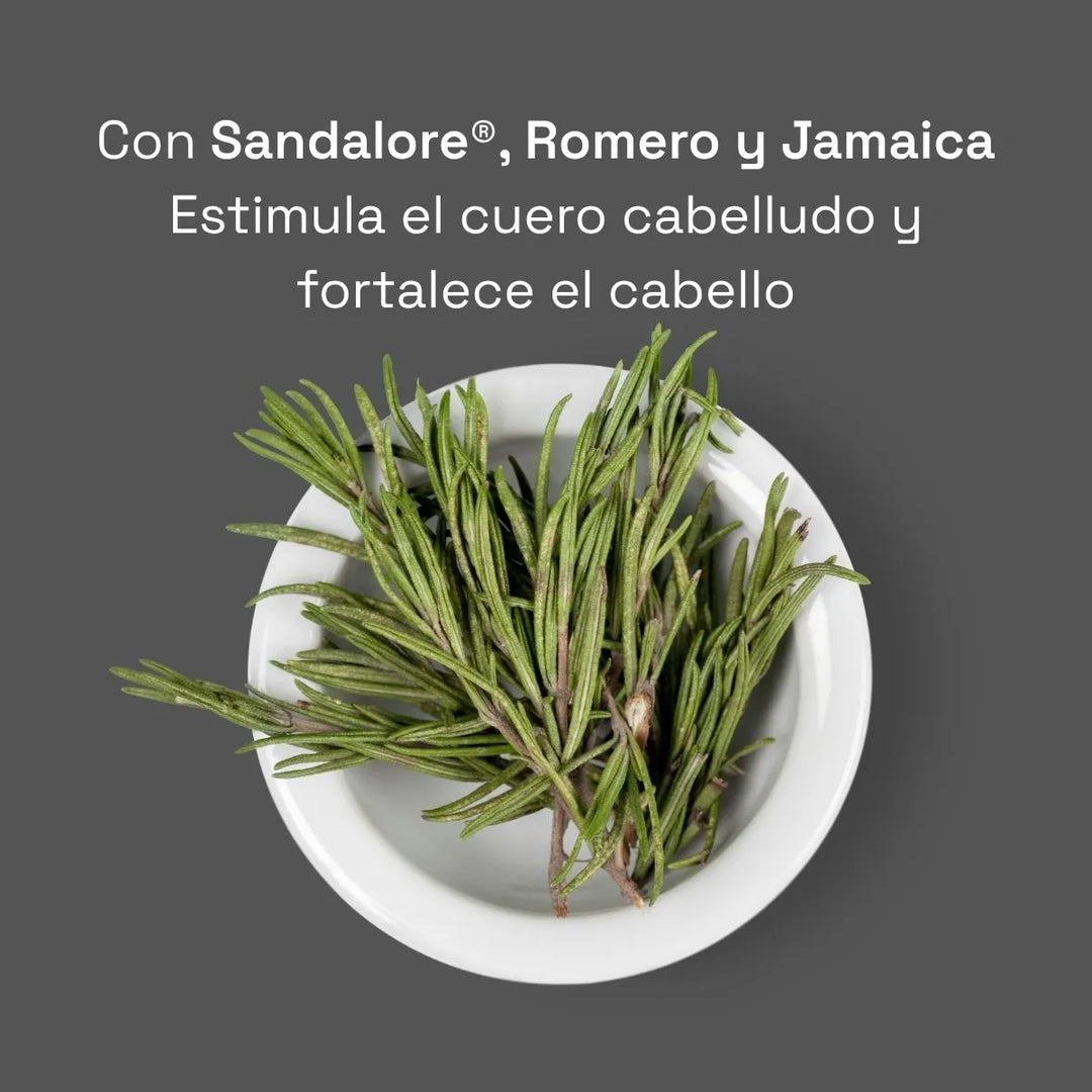 shampoo con romero, sandalore y jamaica. maxalli