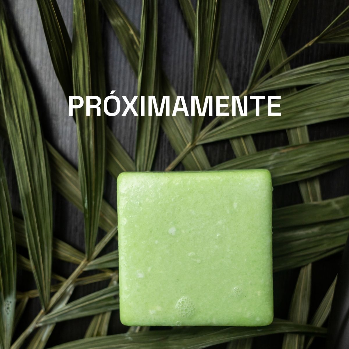 shampoo solido con acido salicilico y carbon activado para cuero cabelludo graso, de maxalli