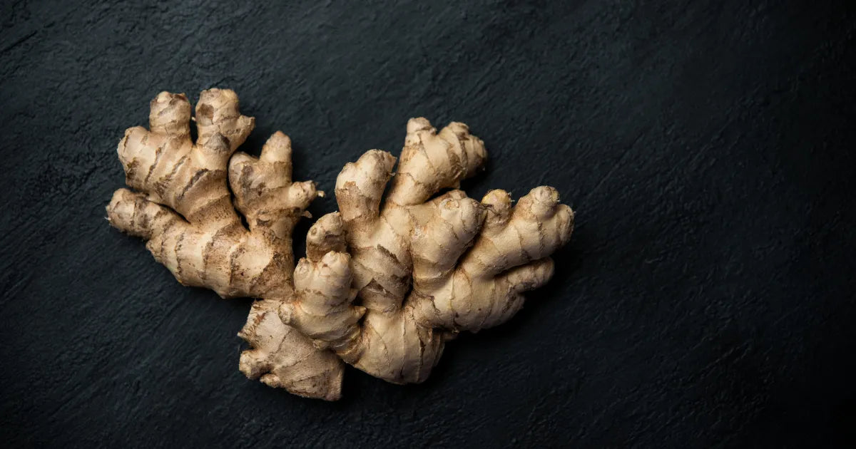 jengibre para el cabello