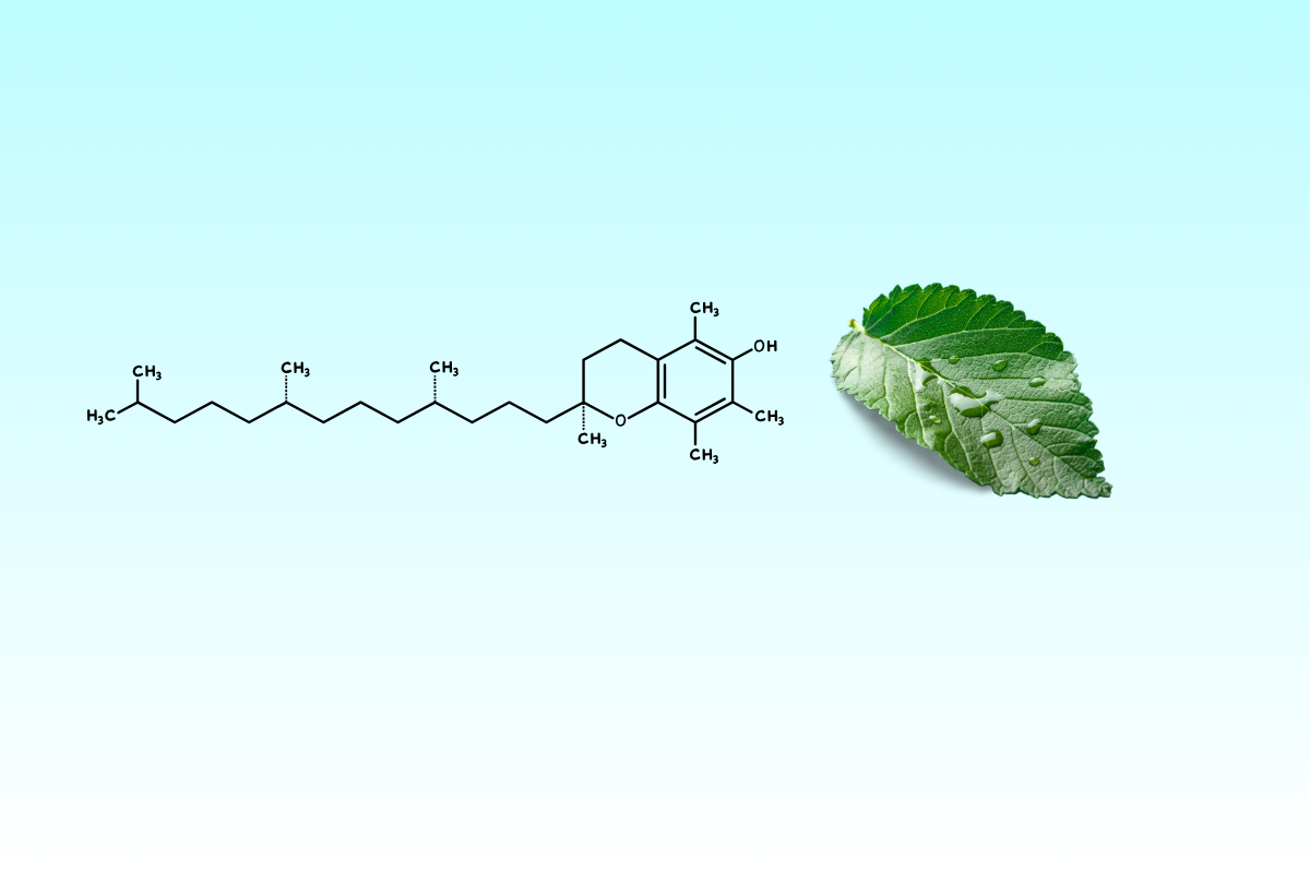 VITAMINA E