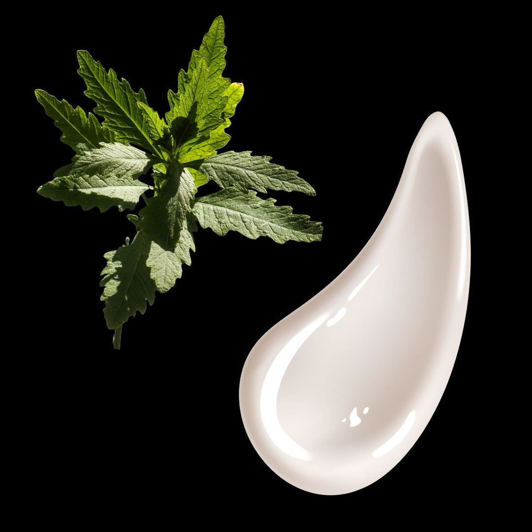 crema herbal con epazote de maxalli