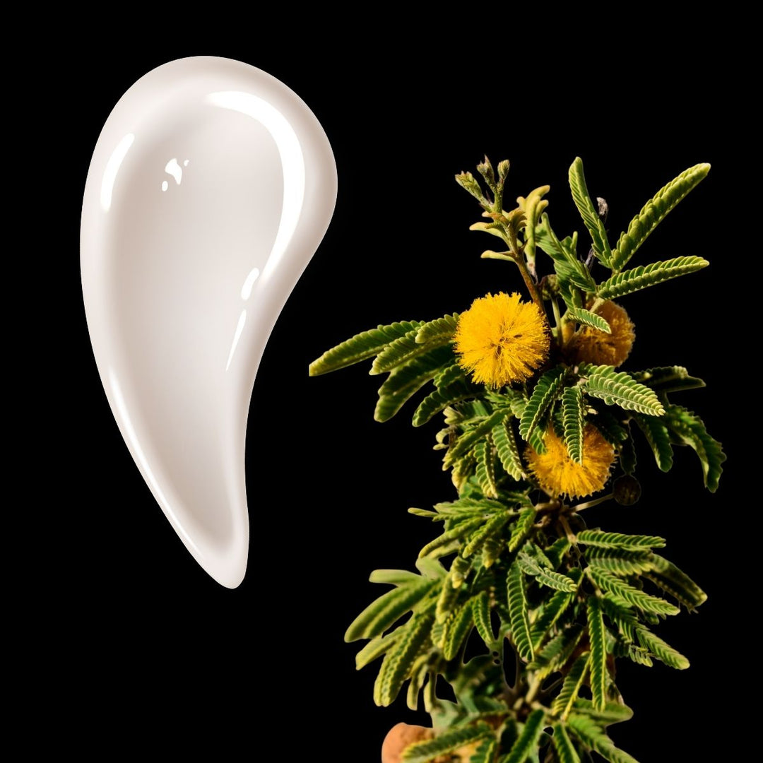 crema herbal con flor de huizache. maxalli