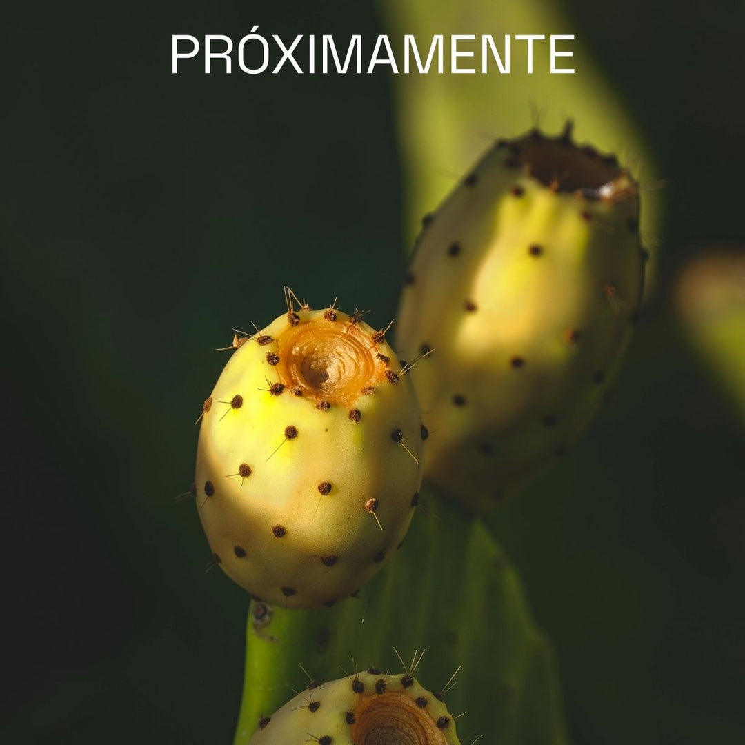 Desodorante Natural Bioadaptativo | Tuna del Desierto. MAXALLI