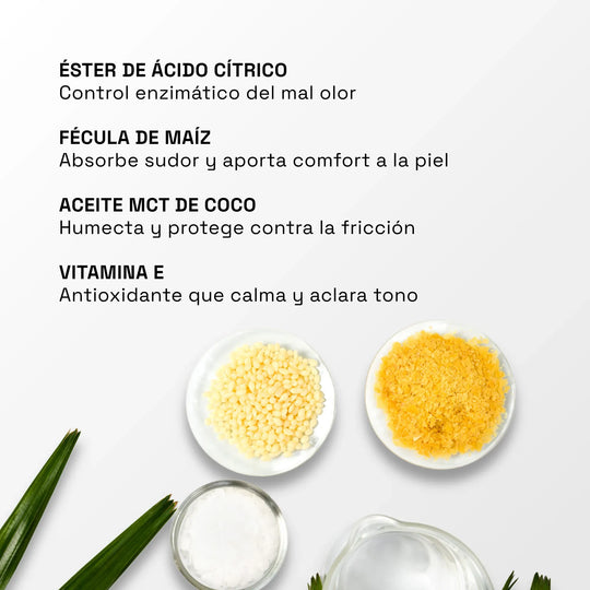ingredientes del desodorante maxalli: citrato trietilo, fécula de maíz, aceite mct de coco, vitamina e