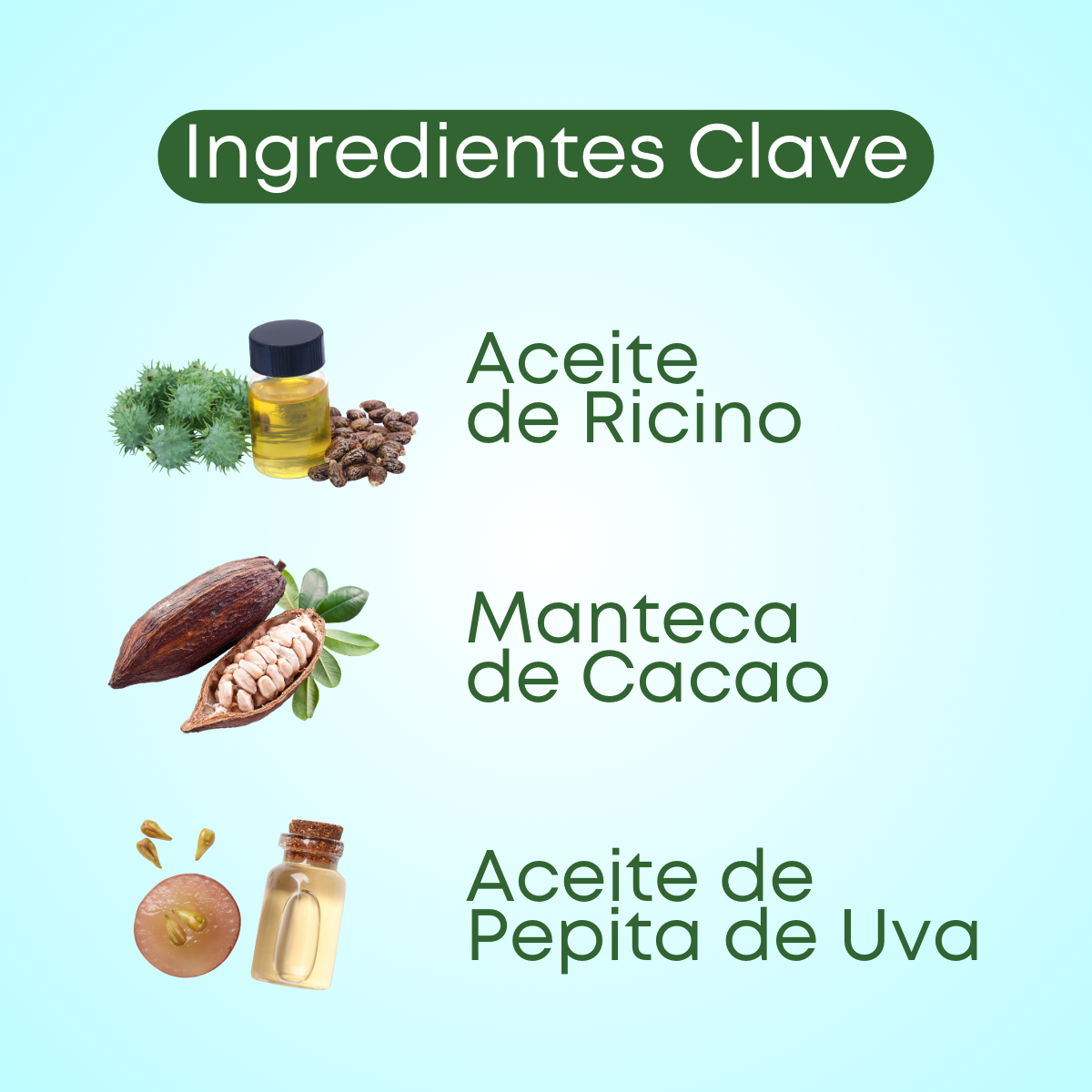 aceite de ricino, manteca de cacao, aceite de pepita de uva. castor oil, cocoa butter, grapeseed oil.