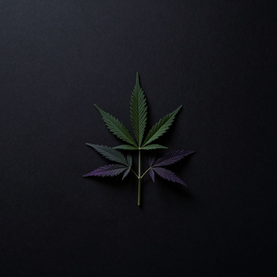 perfume con olor a marihuana