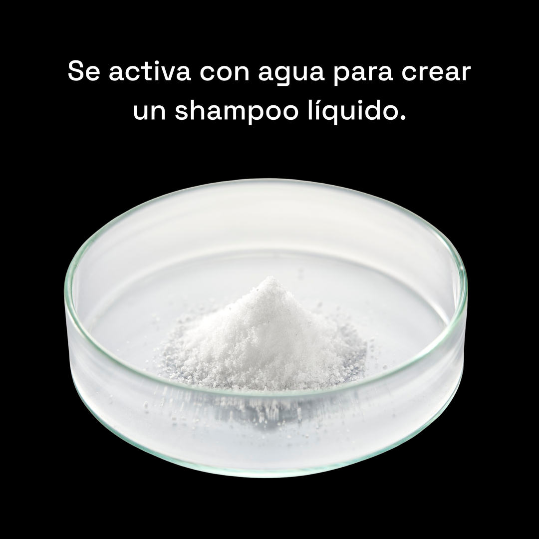 shampoo concentrado en polvo