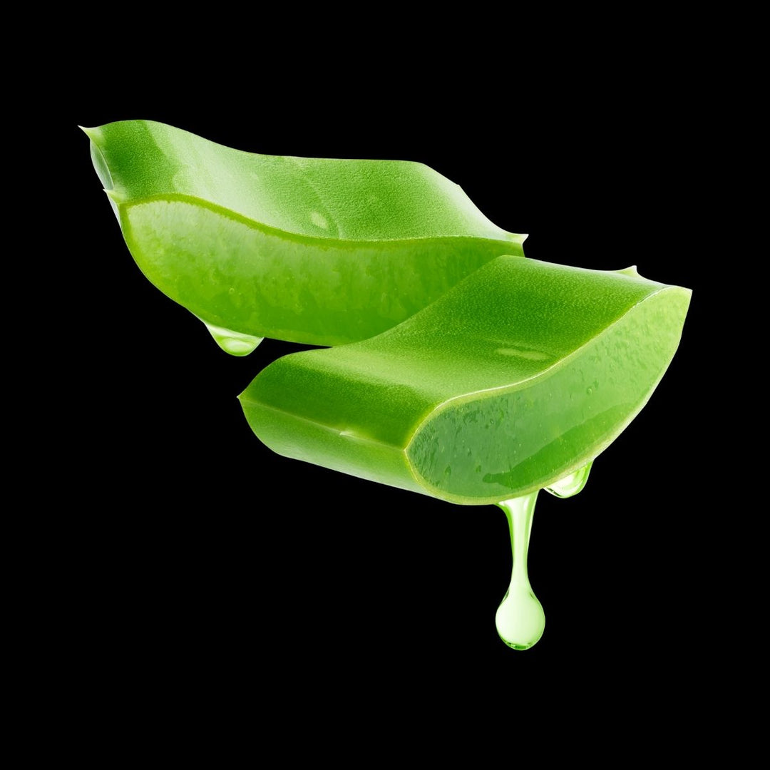 tonico de aloe vera. maxalli